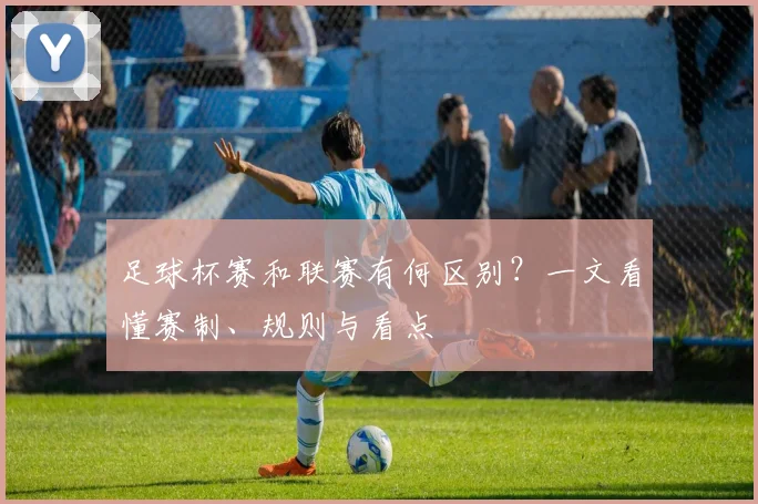 足球杯赛和联赛有何区别？一文看懂赛制、规则与看点
