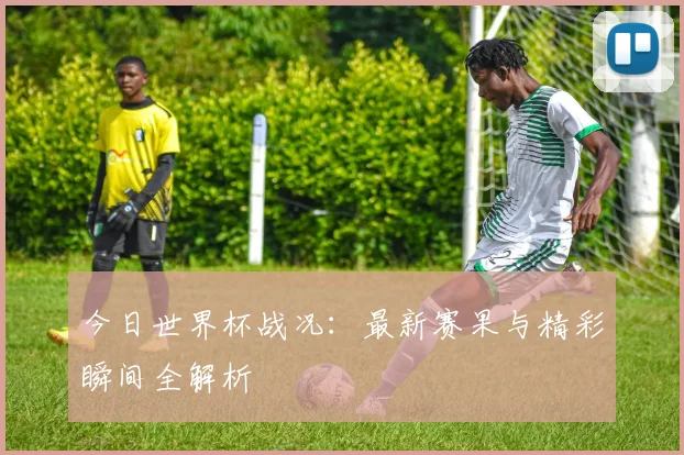 今日世界杯战况：最新赛果与精彩瞬间全解析